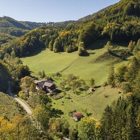 Urlaub Mitten Im Wald - Lueg Scheibbs Eksteriør billede