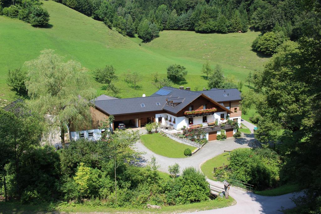 Urlaub Mitten Im Wald - Lueg Scheibbs Eksteriør billede