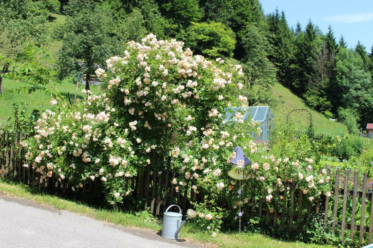 Urlaub Mitten Im Wald - Lueg Scheibbs Eksteriør billede