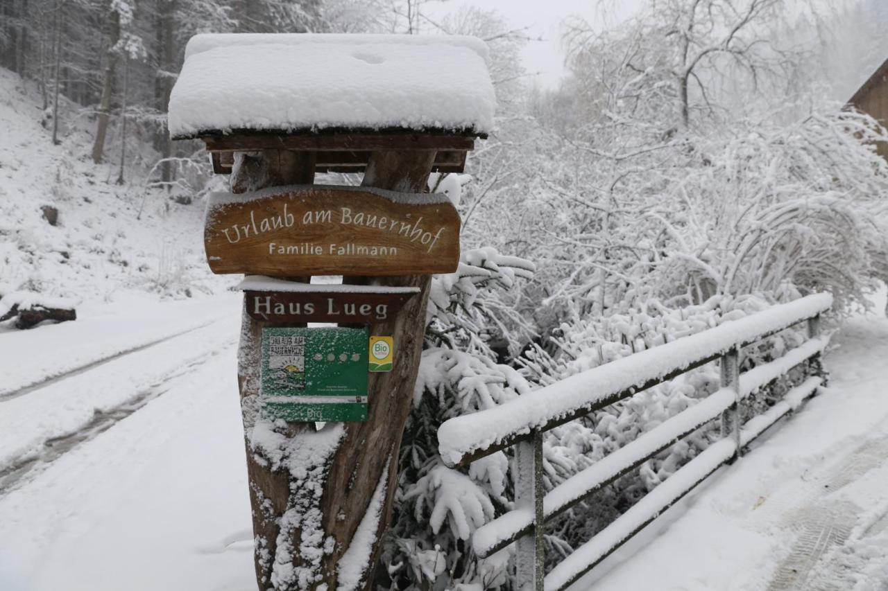 Urlaub Mitten Im Wald - Lueg Scheibbs Eksteriør billede